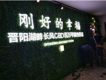 樹(shù)脂發(fā)光字作特點(diǎn)有哪些呢？山西德軒做字廠(chǎng)和您分享